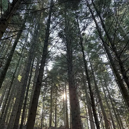 Pod Cigerníkom Matiasovce