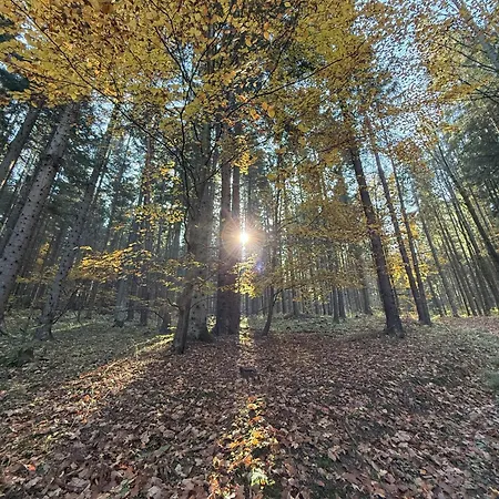 Pod Cigernikom Vakantiehuis