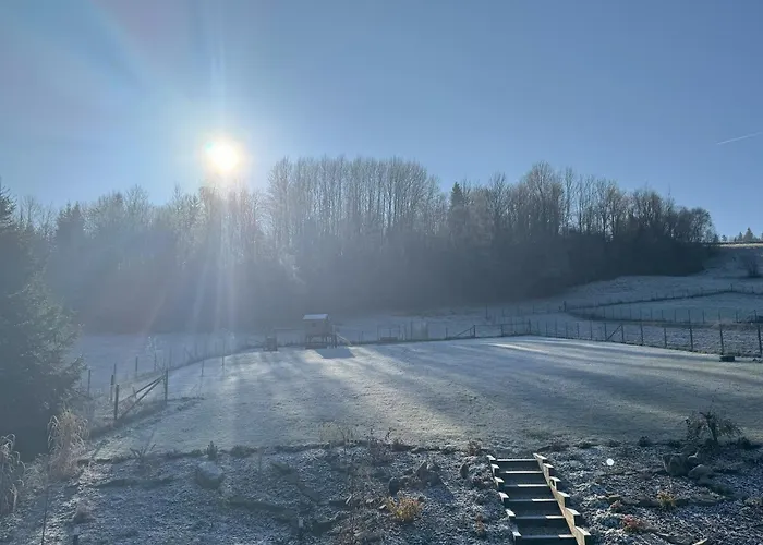 Nyaraló Pod Cigernikom *