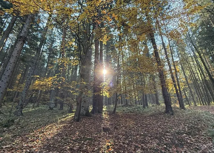 Pod Cigernikom Nyaraló